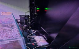Other/Mixed Breed fish for sale: Aqua one 400 full set up plus more  - Image 7