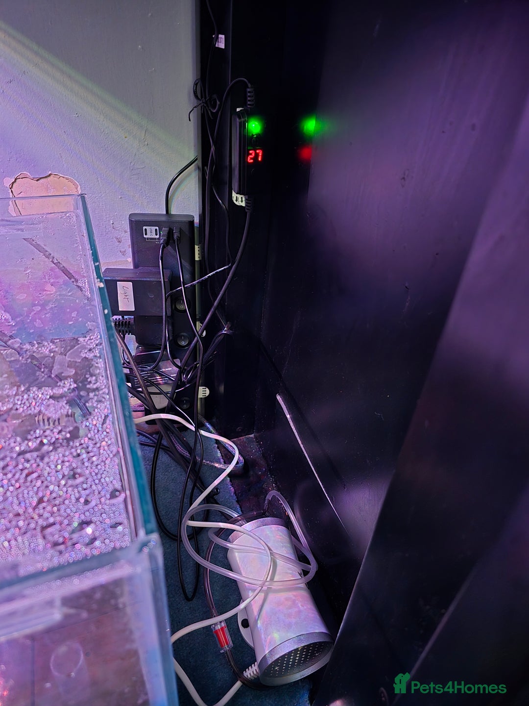 Other/Mixed Breed fish for sale: Aqua one 400 full set up plus more  - Image 7