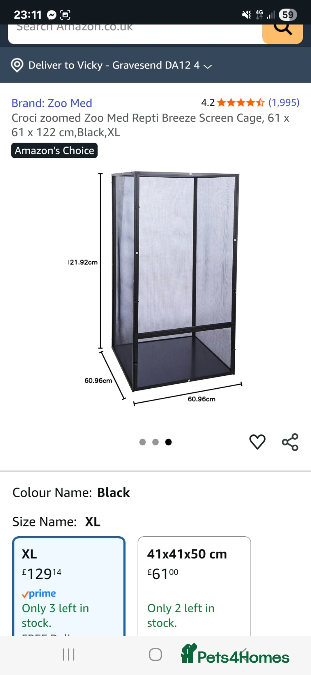 Stick Insects invertebrates for sale: Mixed stick insects and cage - Advert 4