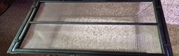 Mixed Breed reptiles for sale: Exo Terra enclosure  in Ruthin - Advert 3