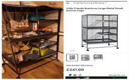 Rat rodents for sale: 2 male rats plus large cage and accessories - Image 5