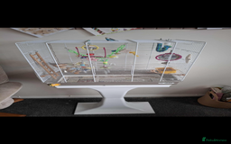 Mixed Breed birds for sale: Young budgie complete with cage and stand  - Advert 2