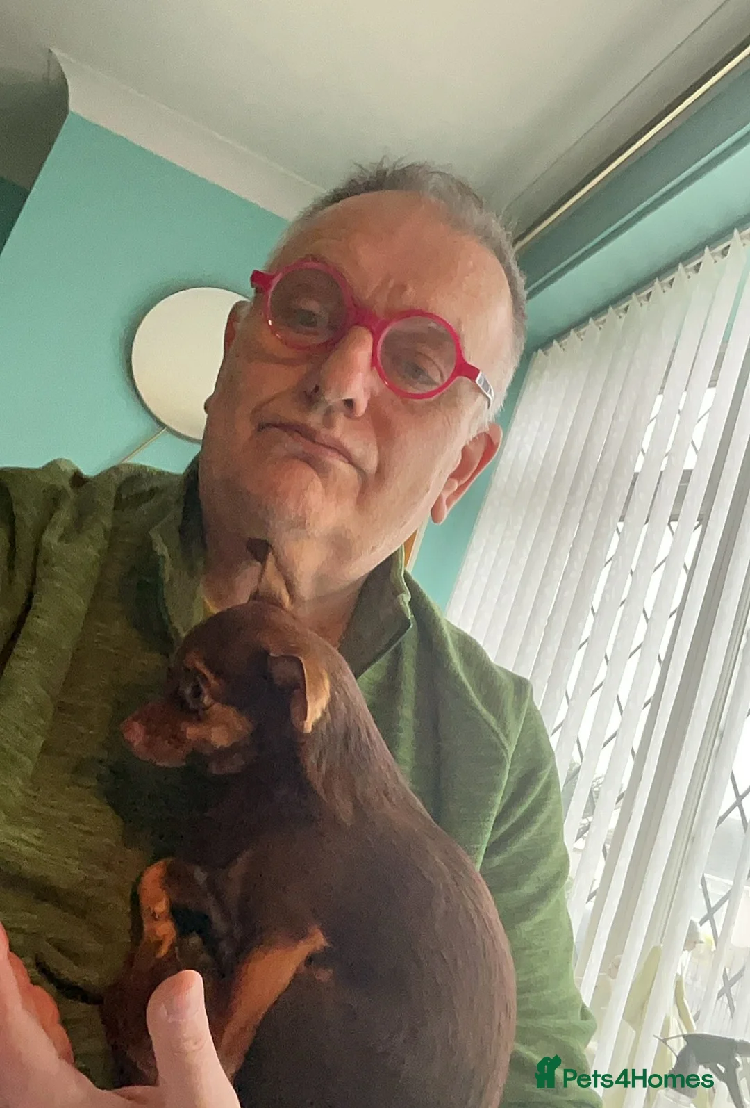 Gallery Image {{count}}