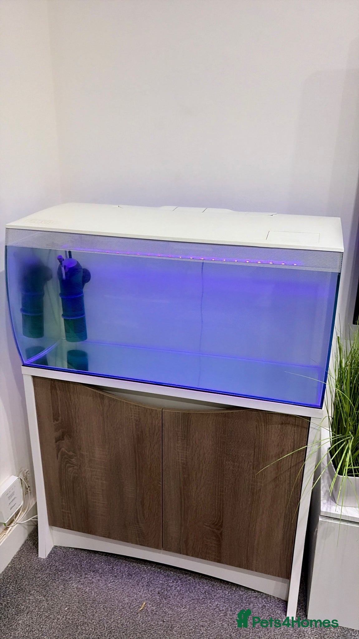 Other/Mixed Breed fish Fluval 123L tank with stand - Advert 13