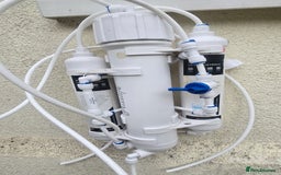 Other/Mixed Breed fish for sale: Complete marine set up with clowns - Image 5