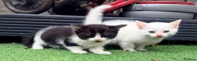 No name 