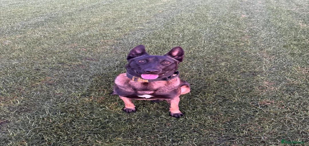 Gallery Image {{count}}