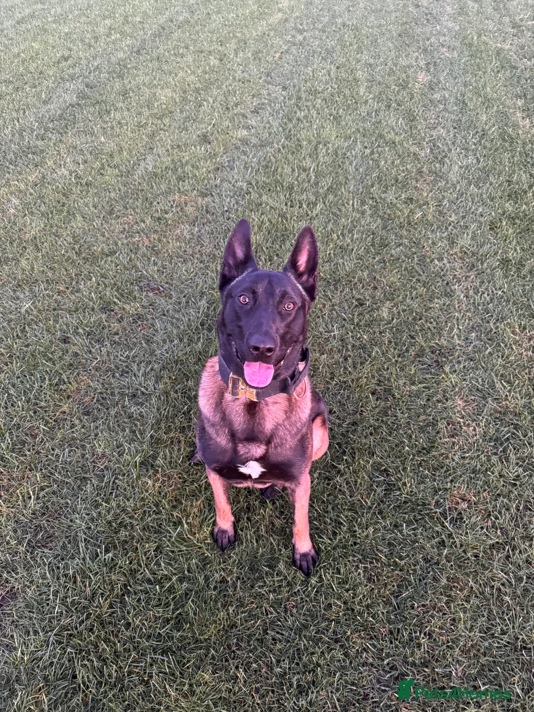 Gallery Image {{count}}