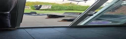Rottweiler dogs for sale: Roxi zoe  - Advert 1