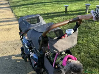 Toy Poodle dogs Chocolate phantom Merle toy poodle girl - Advert 4