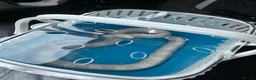 Corn Snake reptiles for sale: Albino corn snake  - Advert 2