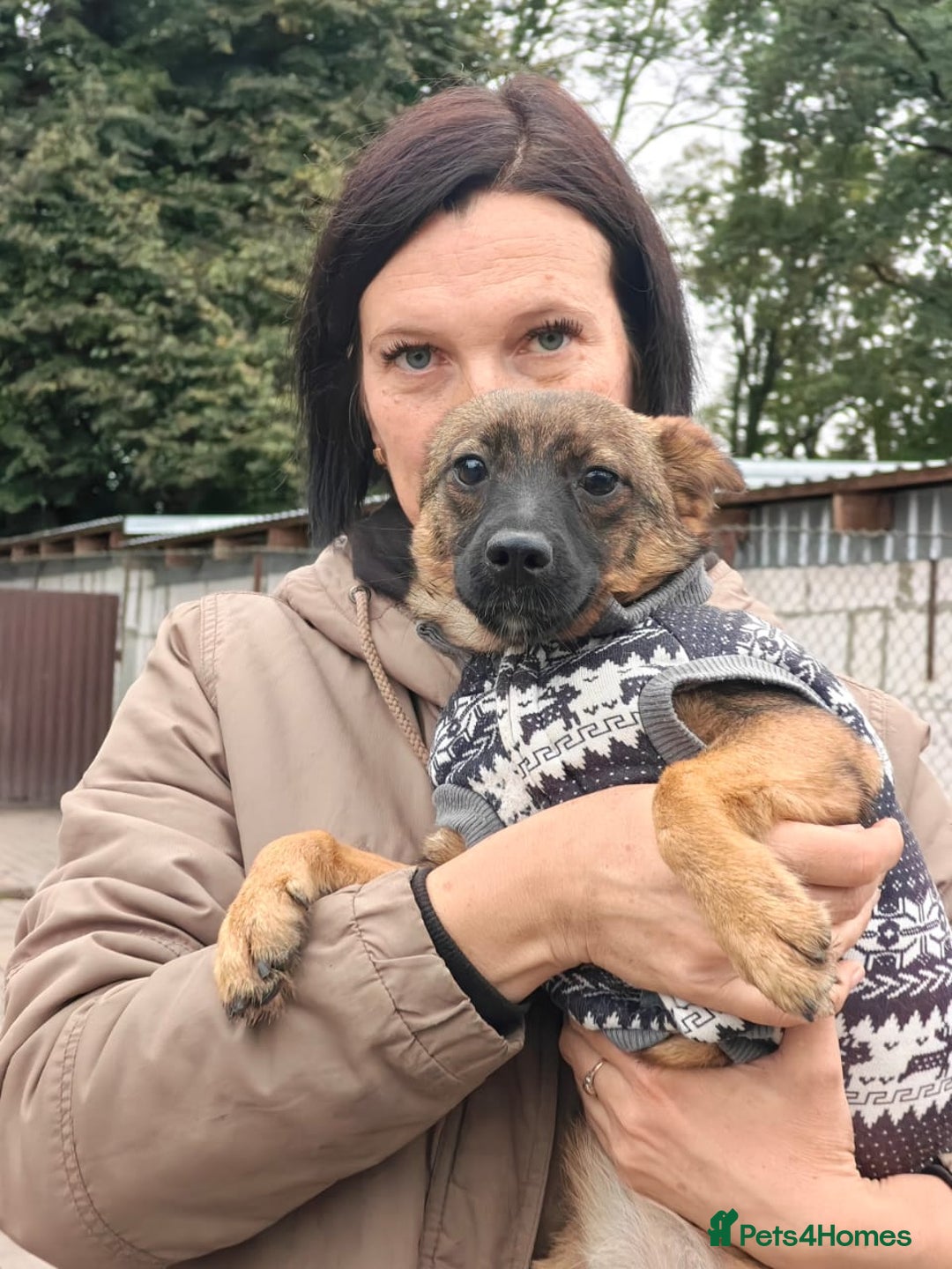 Mixed Breed dogs for adoption: 💖🐶 KNOPA 🐶💖 - Image 9