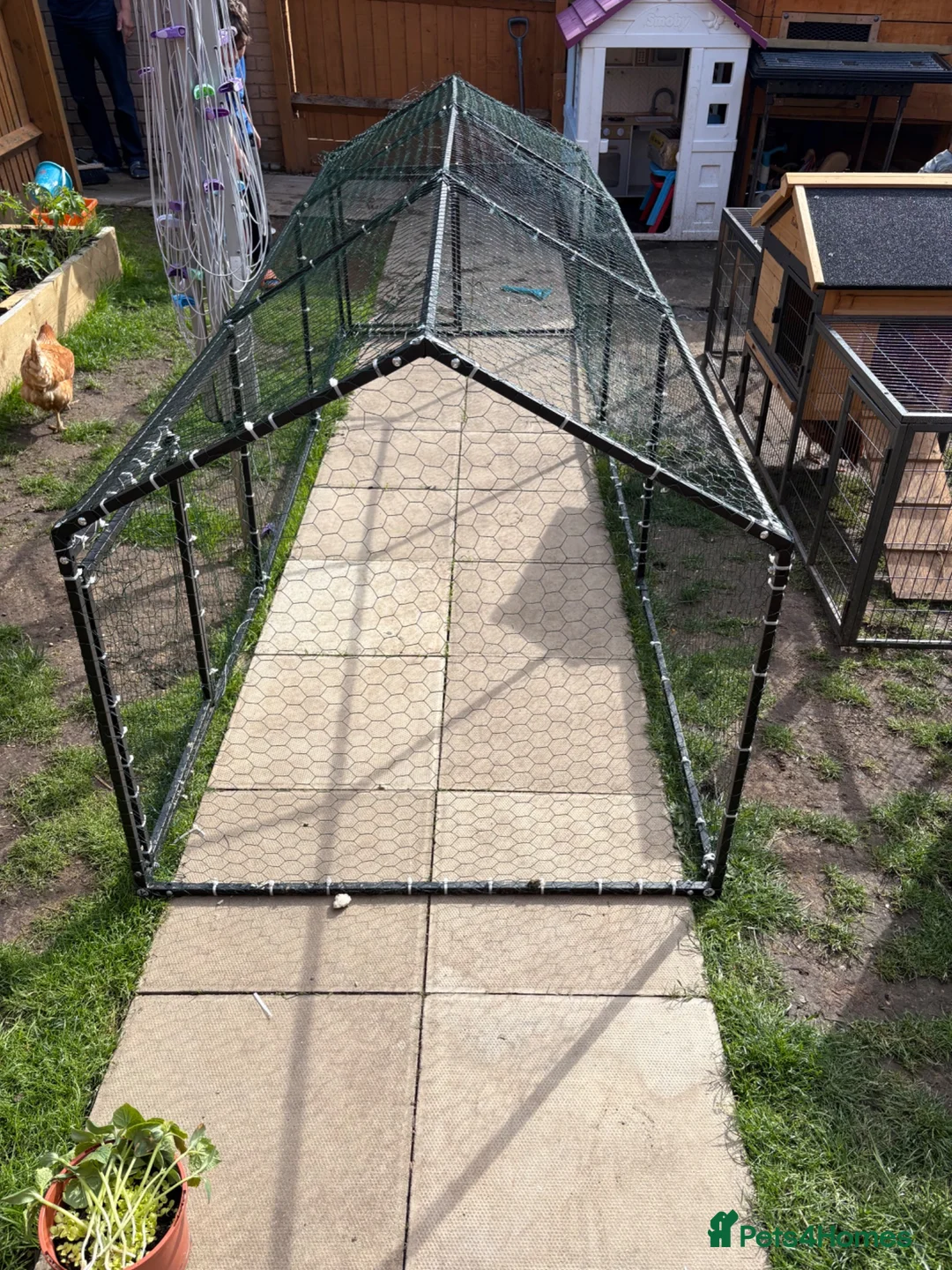 Mixed Breed rabbits for sale: Cage Rabbit/ hens/ any animal outside run  - Advert 1