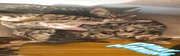 Bengal cats for sale: 🐆2 glitter gene tica bengal left naw ! 🐆 - Advert 3
