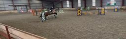 Irish Thoroughbred horses for sale: 10 yr old school mistress  - Advert 7