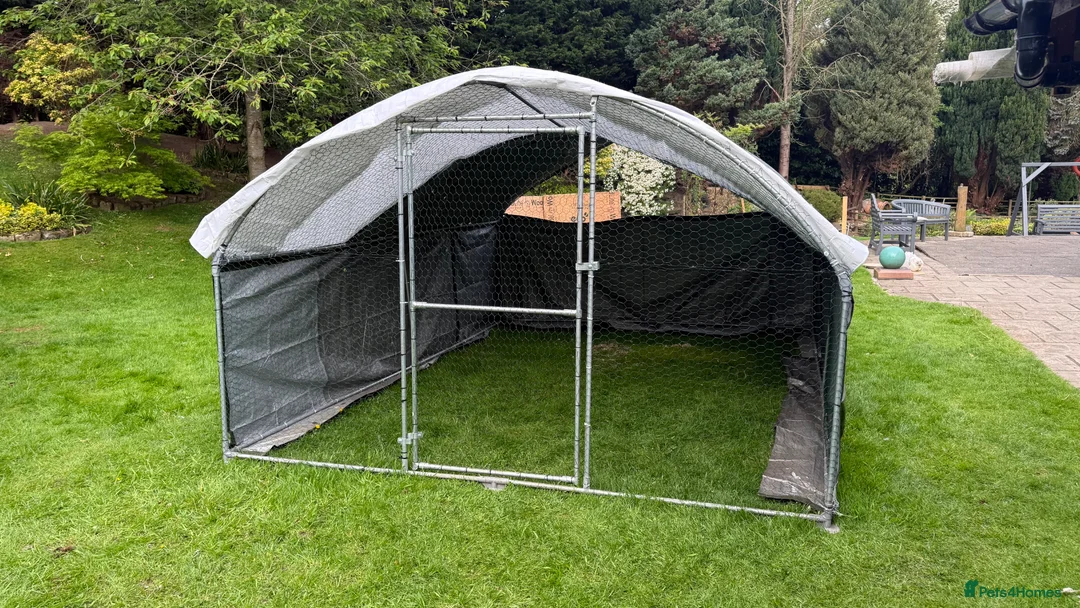 Chickens poultry for sale: COST £190 4M X 3M QUALITY CHICKEN OR POULTRY PEN  - Advert 1