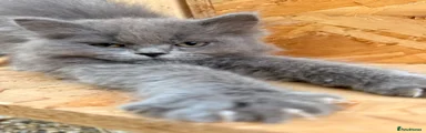 Stormy