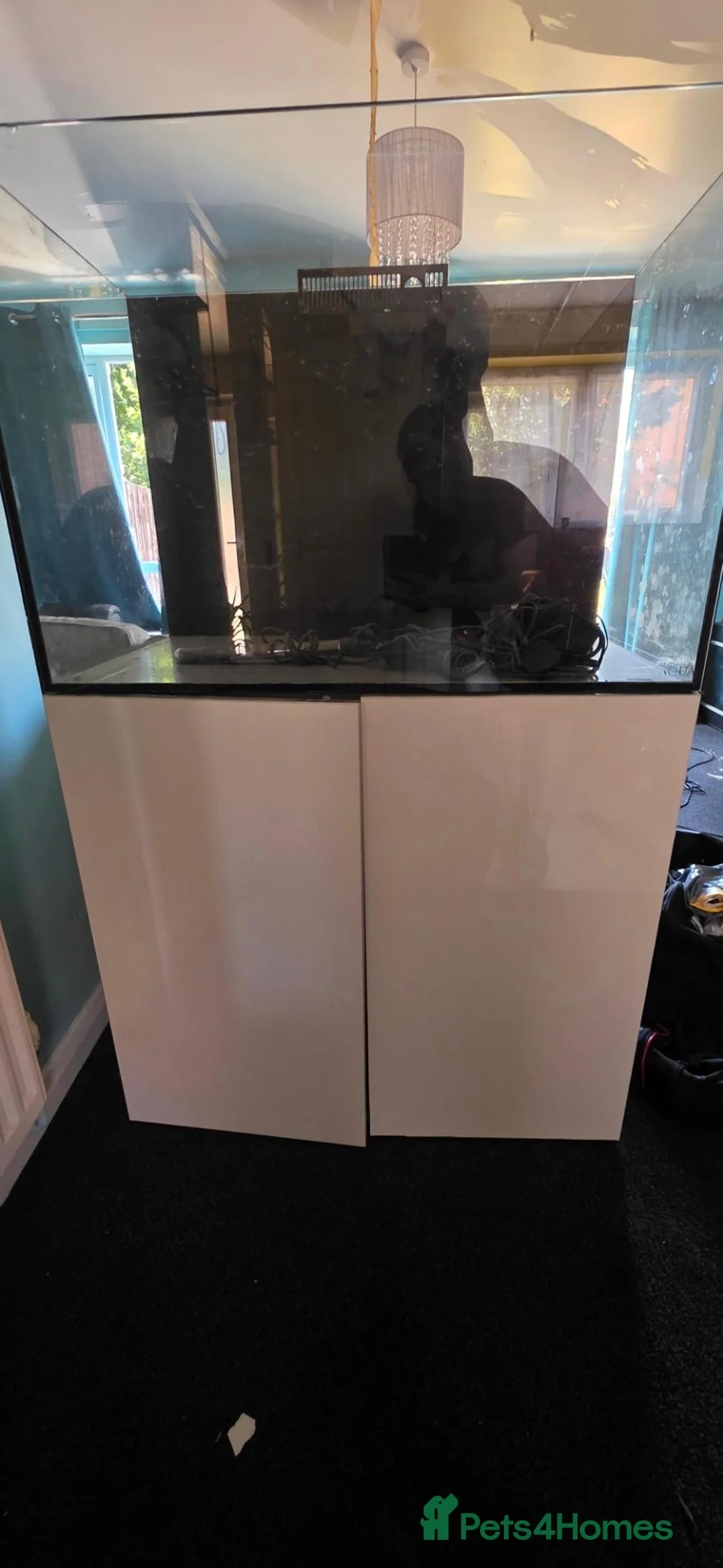 Swordtails fish for sale: Ea reef 900 pro  in Scunthorpe - Advert 2