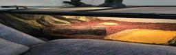 Frog reptiles for sale: Albino horned frog  in Wolverhampton - Advert 4
