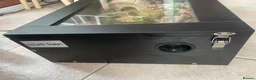 Corn Snake reptiles for sale: Corn snake with vivarium and heat mat  in Stoke-on-Trent - Advert 5