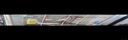 Budgerigars birds for sale: Proven Pair buggies in Ilford - Advert 3