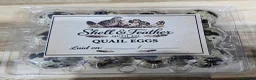 Quail poultry for sale: Coturnix Quail Hatching Eggs in Nottingham - Advert 5
