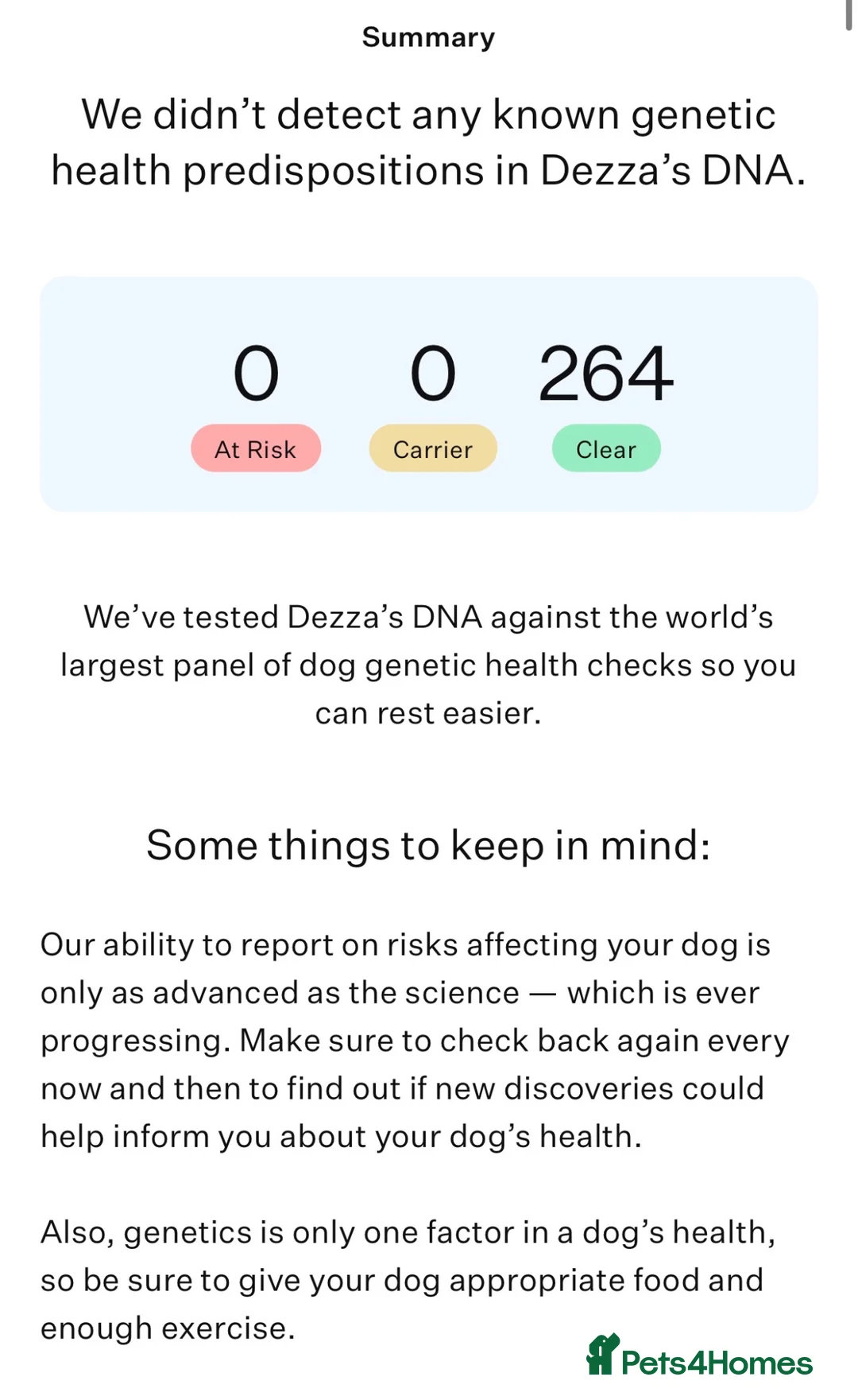 English Bulldog dogs for sale: Intact Blue tri male  - Advert 13