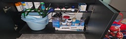 Platies fish for sale: Fluval roma 125l Tank Complete Set up - Advert 5