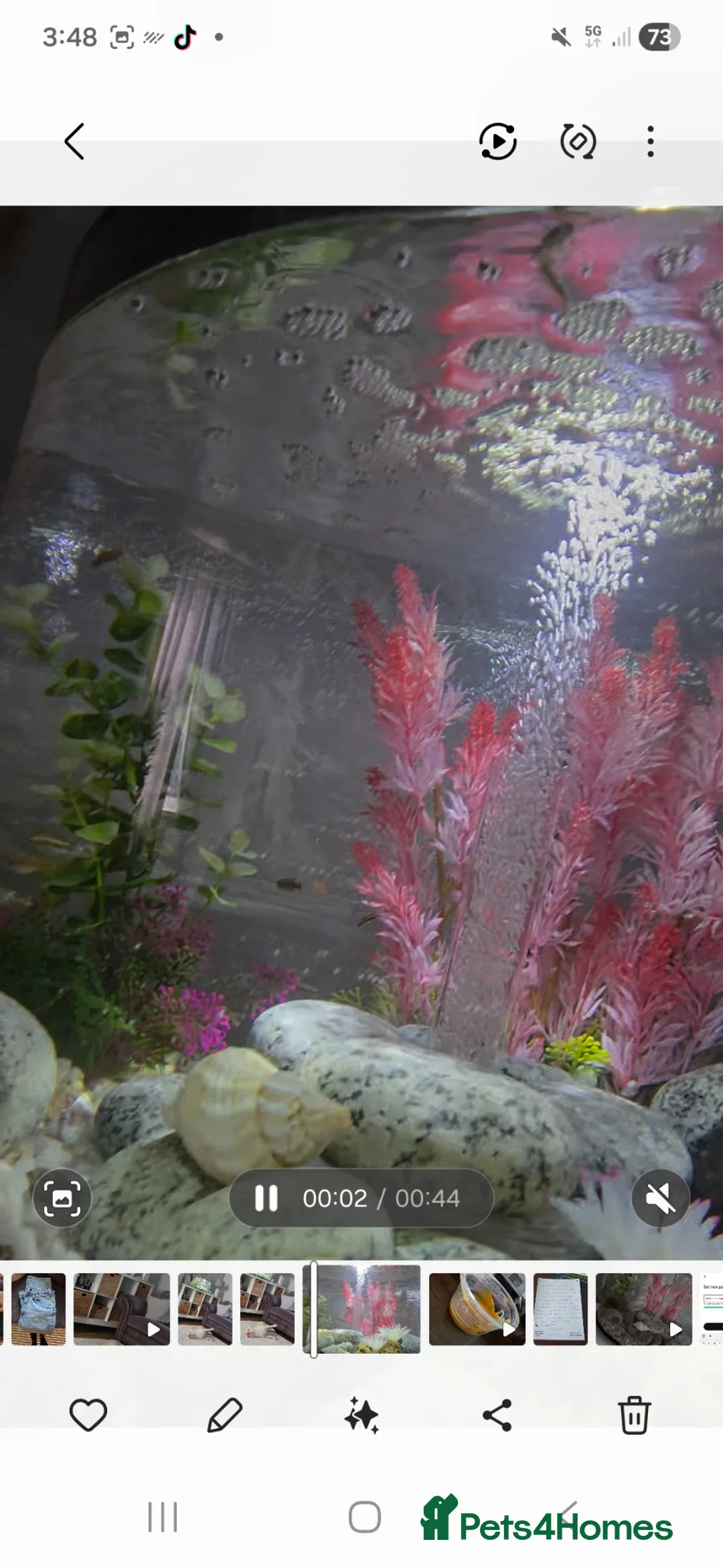 Danios fish for sale: Biorb loop 30ltr with accessories  in Sheffield - Advert 2