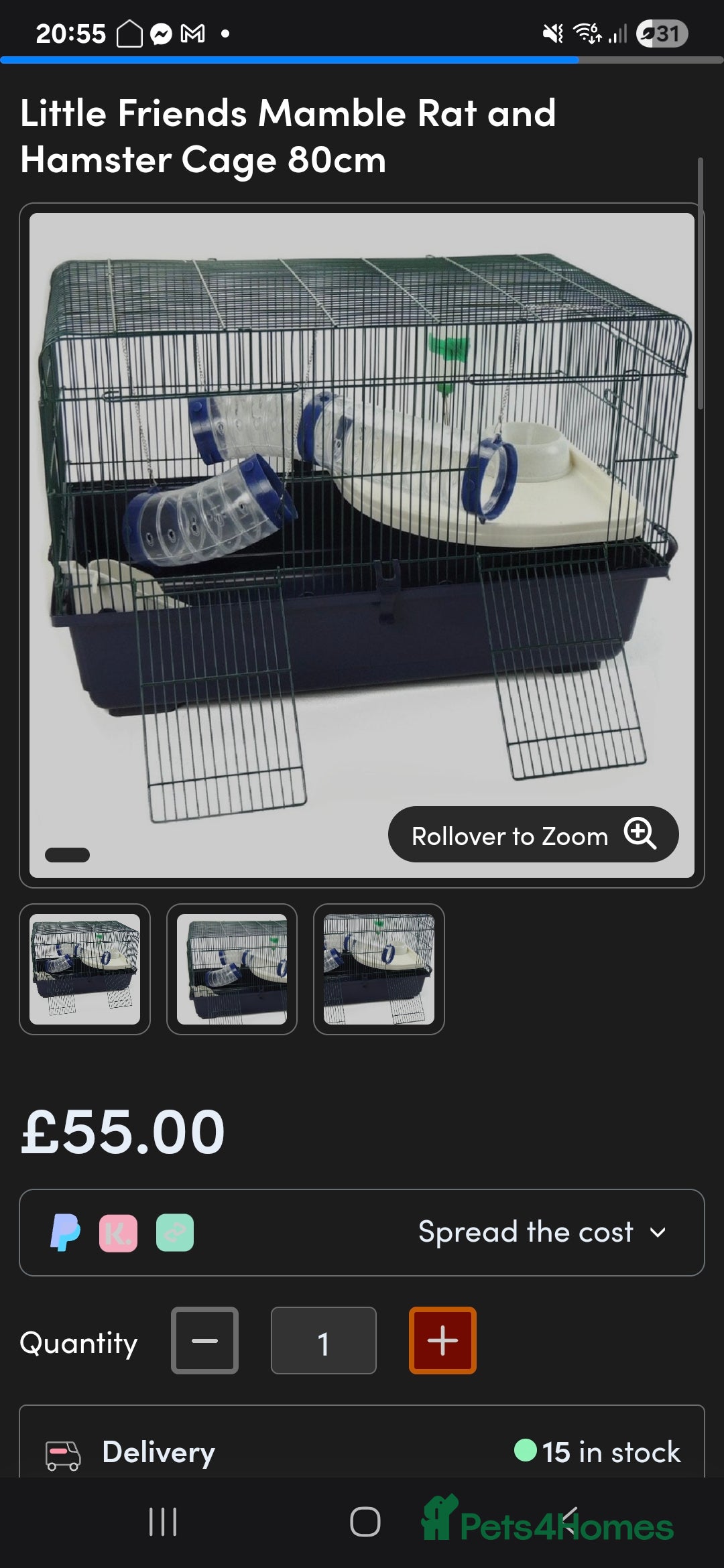 Rat rodents for sale: 4 bonded female rats  - Image 11
