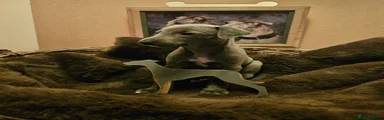 Whippet Puppy 1 
