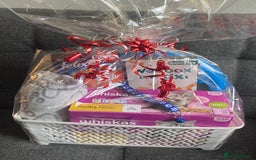 British Shorthair cats for sale: Stunning British Short Hair kitten GCCF/TICA - Image 26