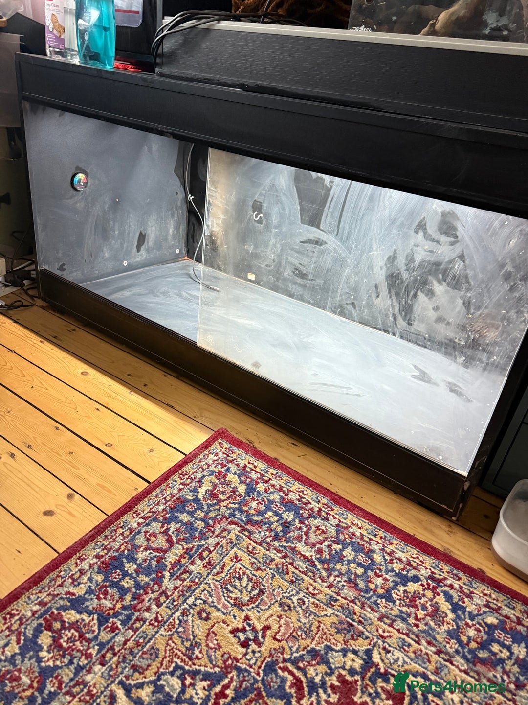 Bearded Dragon reptiles for sale: Bearded dragon vivarium with fittings  - Advert 2