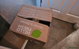 British Shorthair cats for sale: Beautiful British Shorthair  - Advert 7