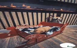 Labradoodle dogs for sale: Adorable Minuature labradoodle puppies - Image 2