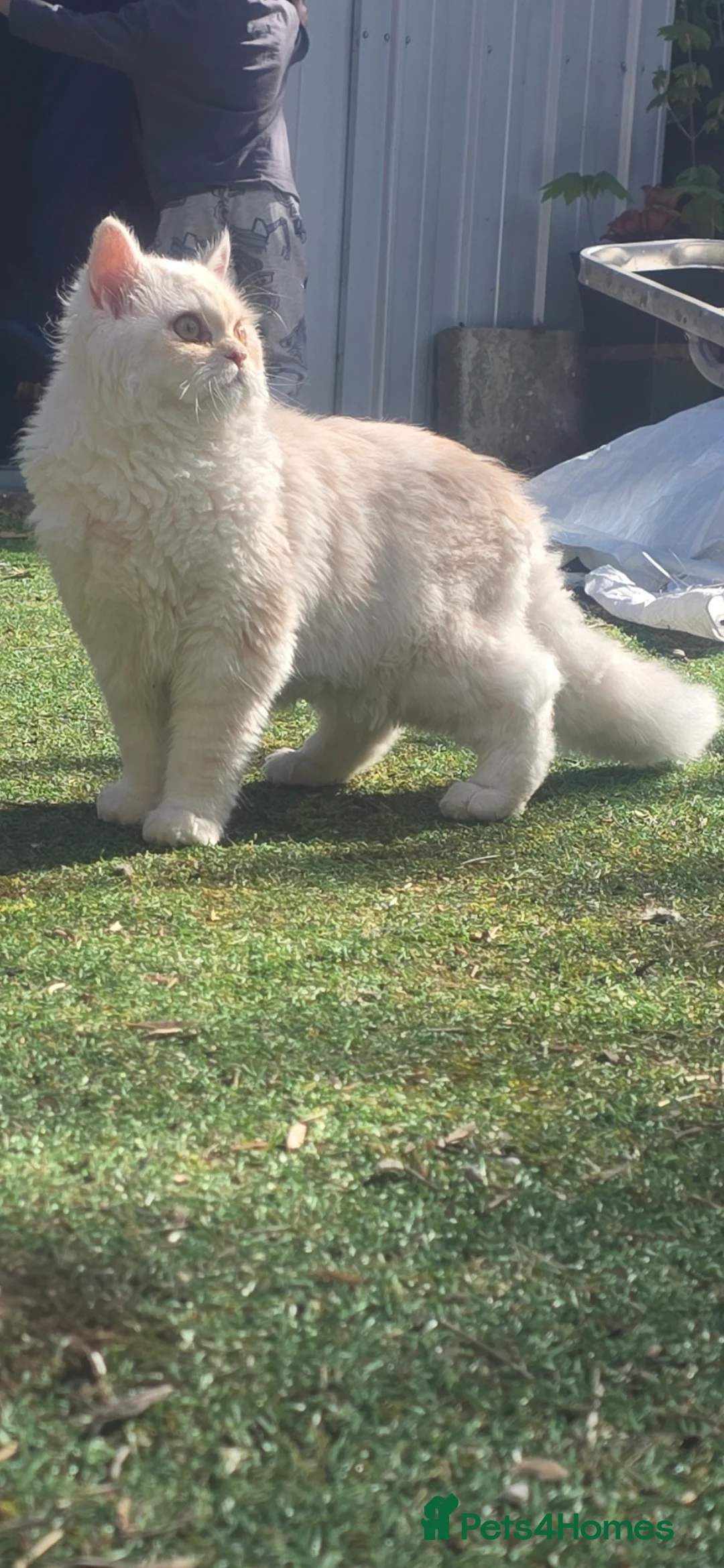 Gallery Image {{count}}