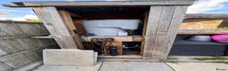 Koi Carp fish for sale: Fish pond plus fish  in Swadlincote - Advert 3