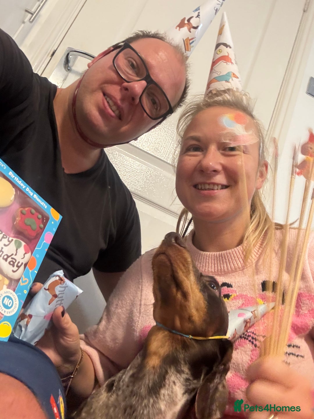 Gallery Image {{count}}