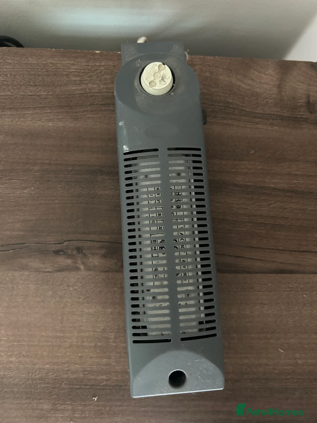 Leopard Gecko reptiles for sale: Male leopard gecko and all equipment  - Advert 9