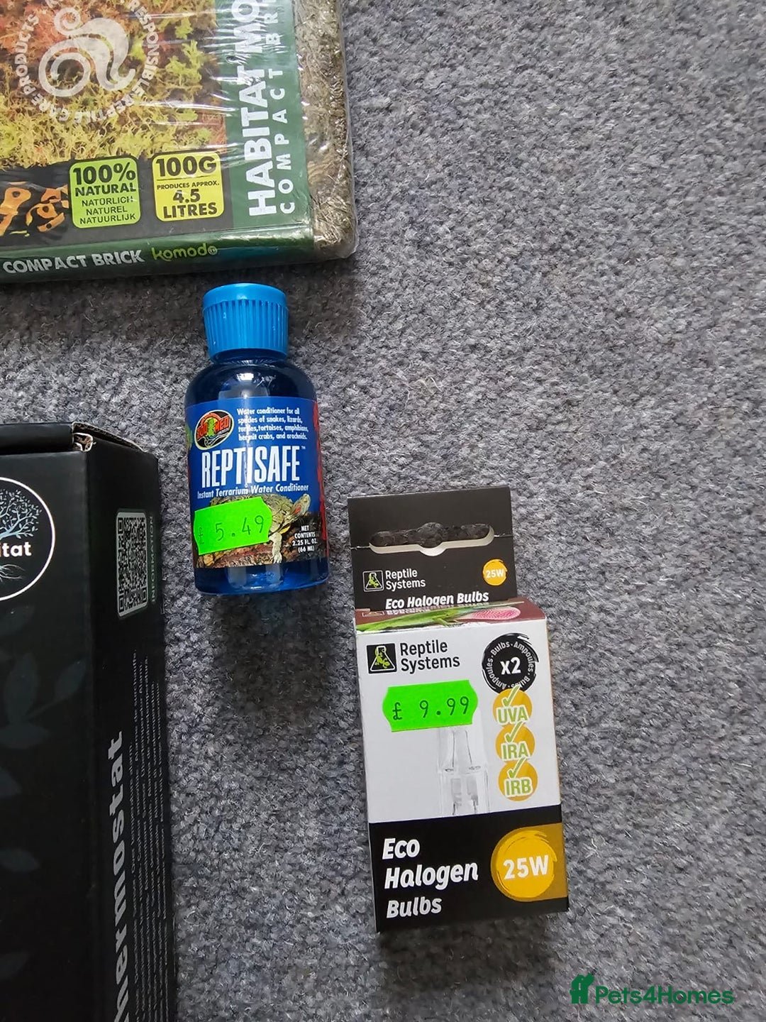 Tortoise reptiles for sale: Red Footed Tortoise for sale to a good home - Advert 13