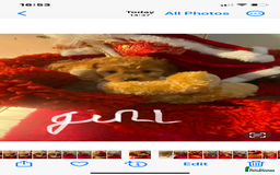 Cavapoo dogs for sale: F1 cavapoo puppys girls and boys  - Advert 3