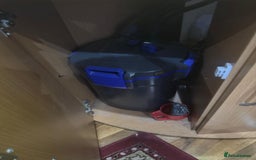 Cichlids fish for sale: Corner Aquarium with Fish - Image 4