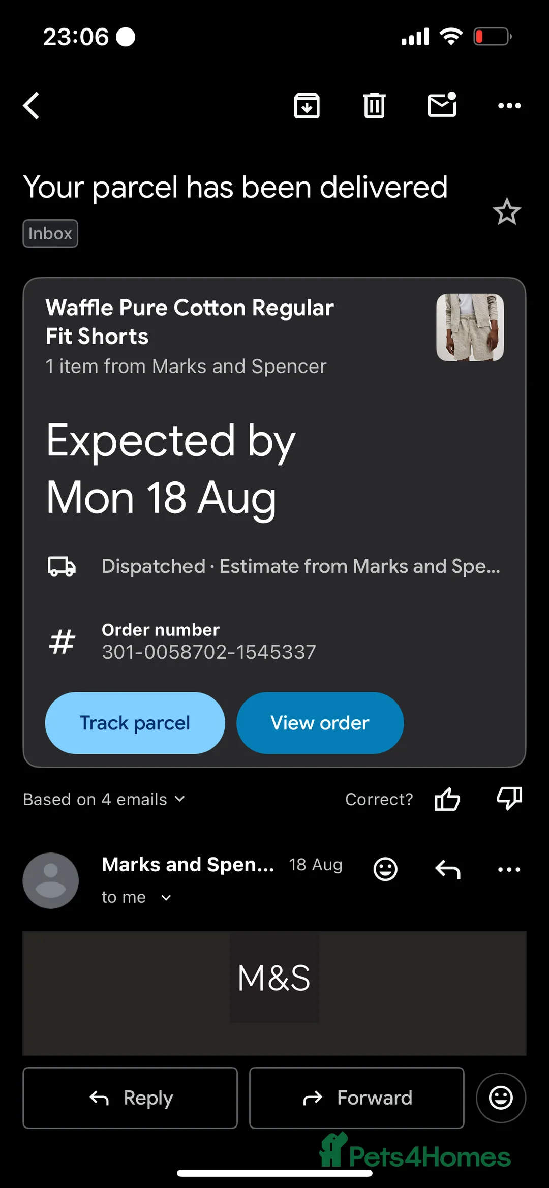 Ragdoll cats for sale: fluffy, male ragdoll kitten - Advert 8