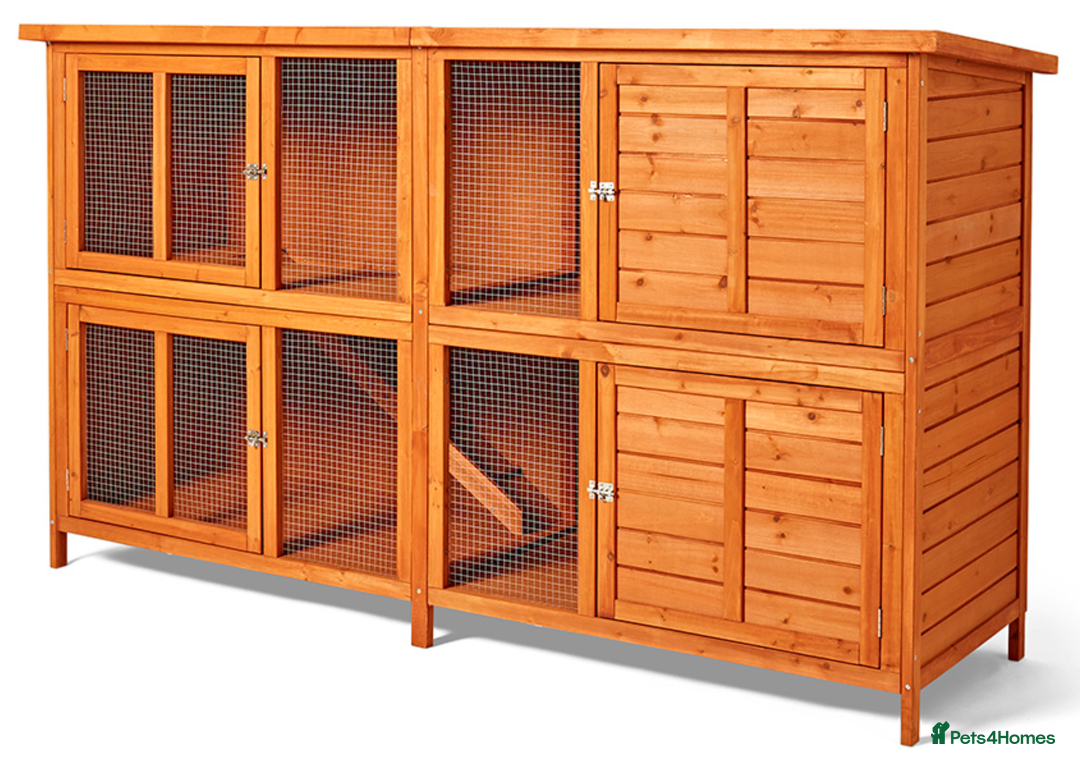 Guinea Pig rodents for sale: Free – 2 x 6ft Double Hutches (Wolverhampton) - Image 5