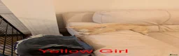 Siberian Husky dogs for sale: Beautifull Siberian Husky puppies - Advert 20