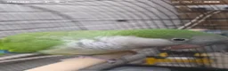 Parakeets birds for sale: Super tame green quaker  in Peterborough - Advert 4