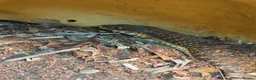 Skink reptiles for sale: Schneider skink and full set up for sale  - Advert 1