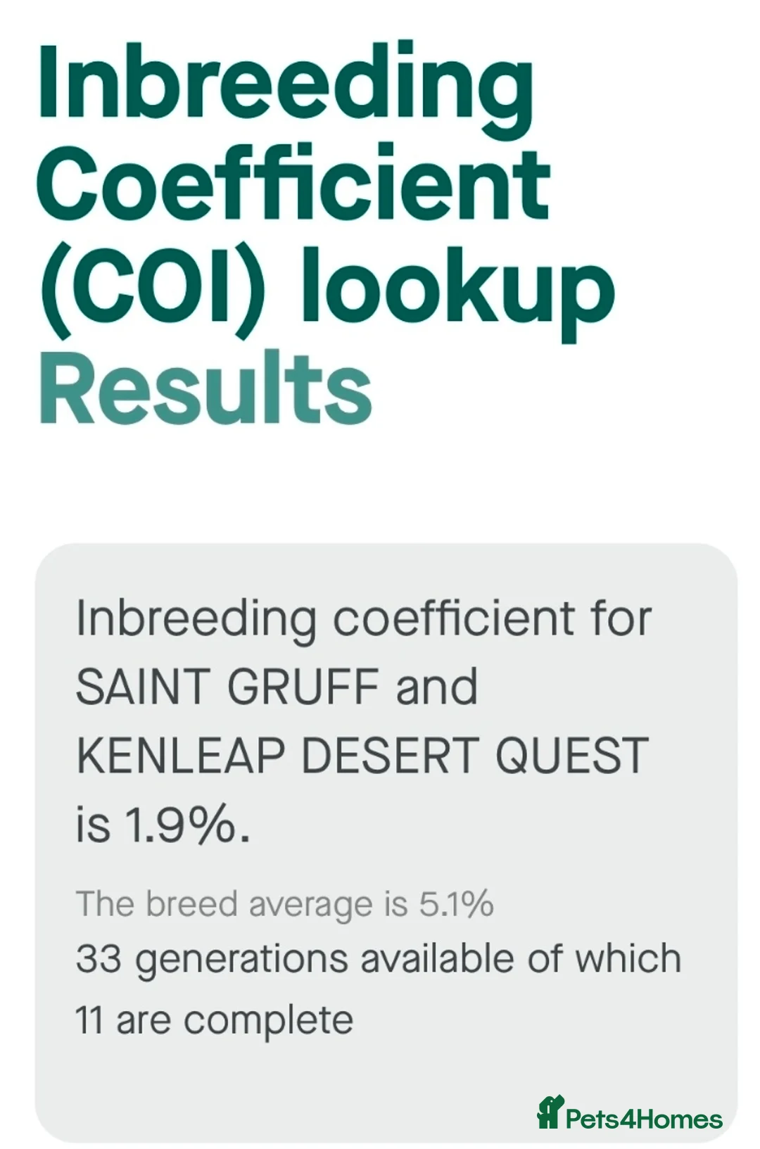 Cavalier King Charles Spaniel dogs for sale: King Charles Cavalier - Lady's first litter kc reg - Advert 7