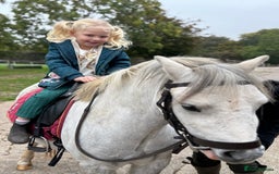 Welsh Section A horses for sale: Child’s pony - Image 2