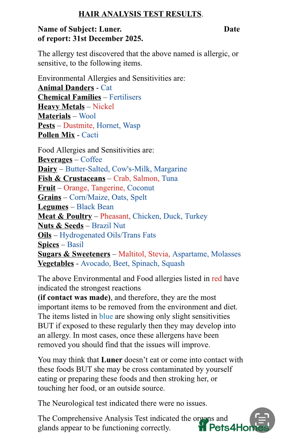 Mixed Breed dogs for sale: American bulldog - Advert 2